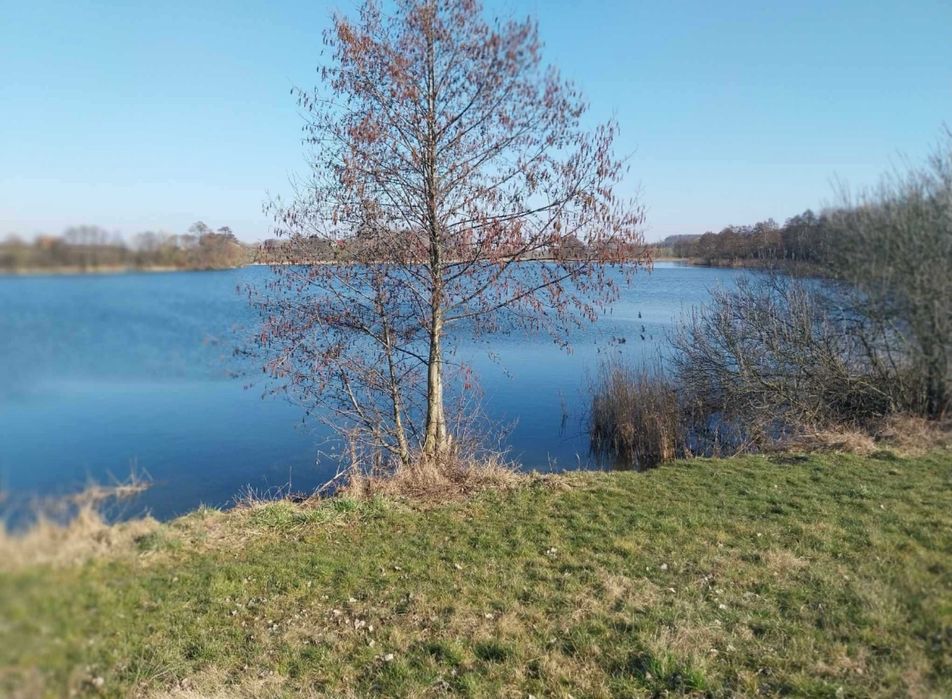 Działka z linią brzegową Grójczyk