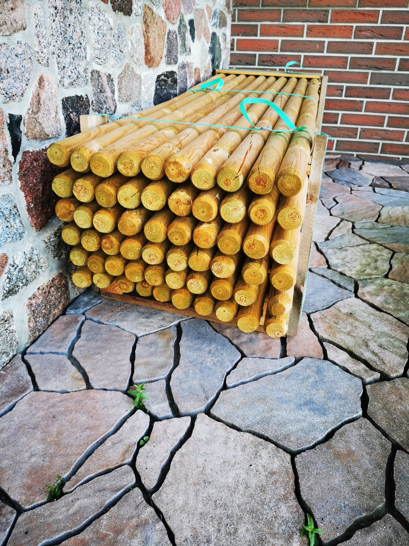 Palisada Paliki do drzewek 5x200cm 50szt.