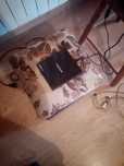 Laptop msi sprawny i napęd optyczny zewnętrzny Samsung dvd