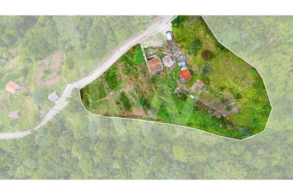Terreno com armazém agrícola | Ponta delgada | Ilha da Madeira