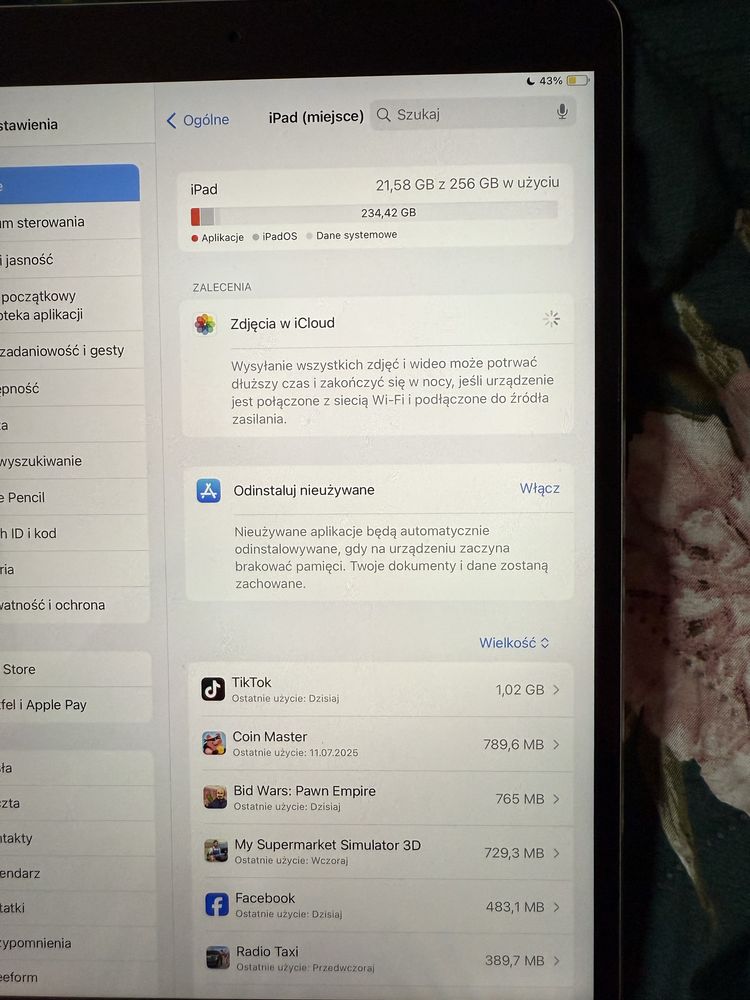 Ipad Pro 10,5 256 GB
