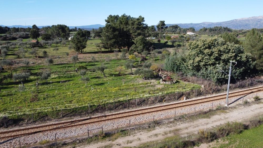 Vende-se quinta na Lardosa, local Ribeirinha.