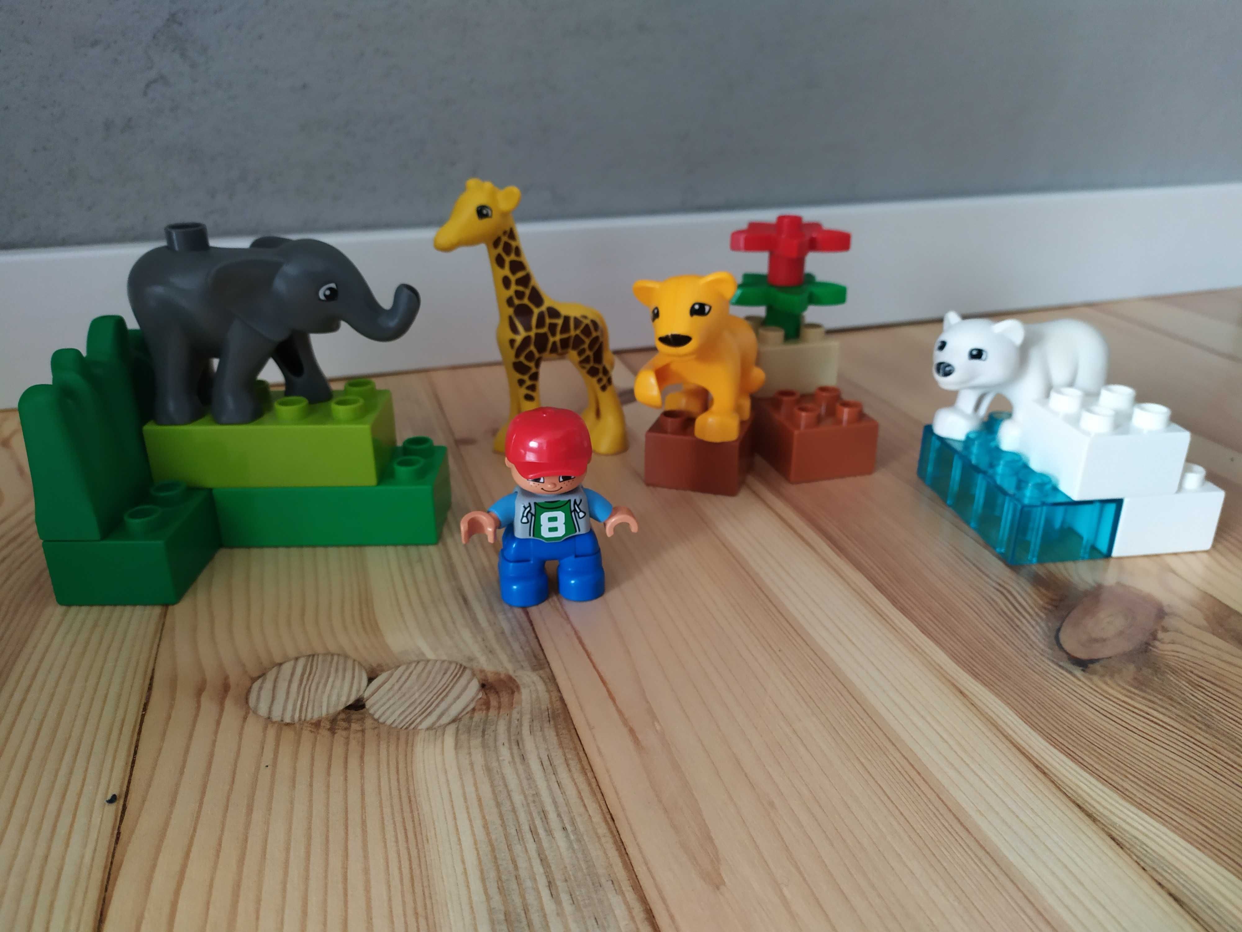 LEGO Duplo małe zoo 4962 i dodatkowe klocki z kotem