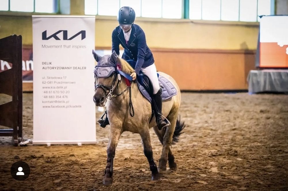 Kuc C Grupa do sportu, ambitnej rekreacji