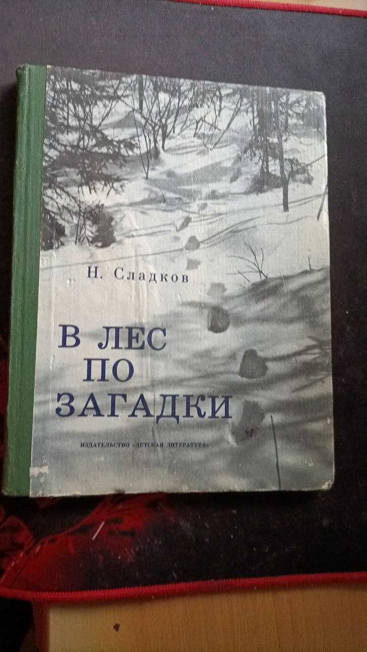 Н. Сладков  В лес по загадки   Юным следопытам