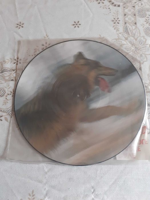 Dave Clarke The Wolf