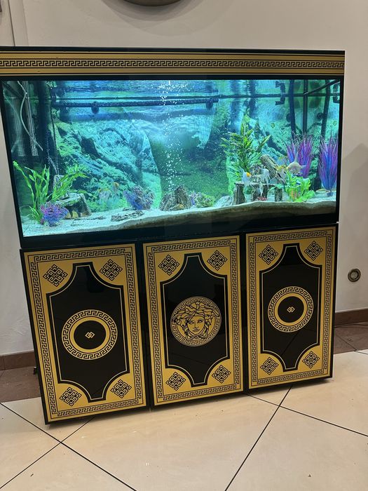 Akwarium kompletne 240l