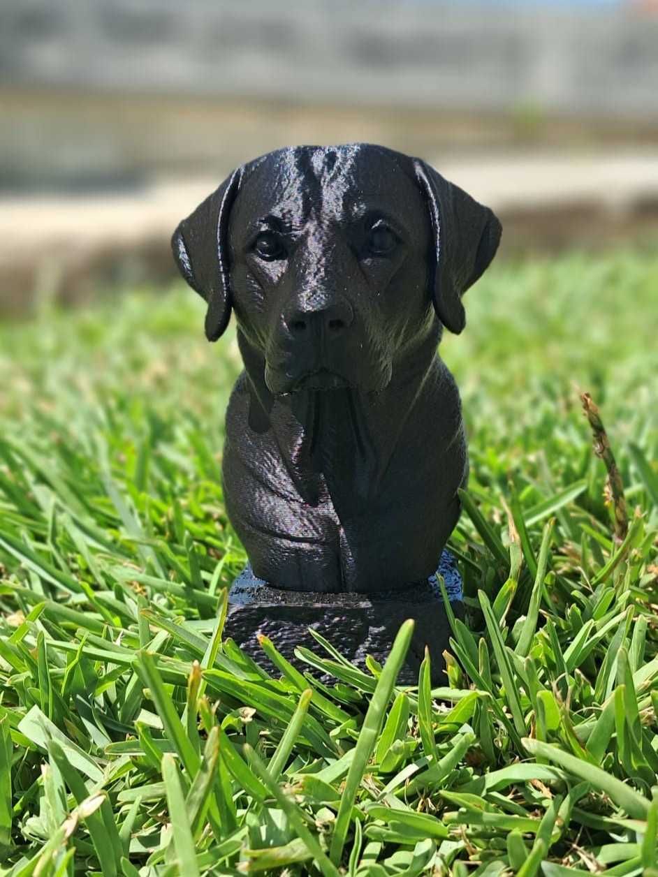 Busto 3D Labrador