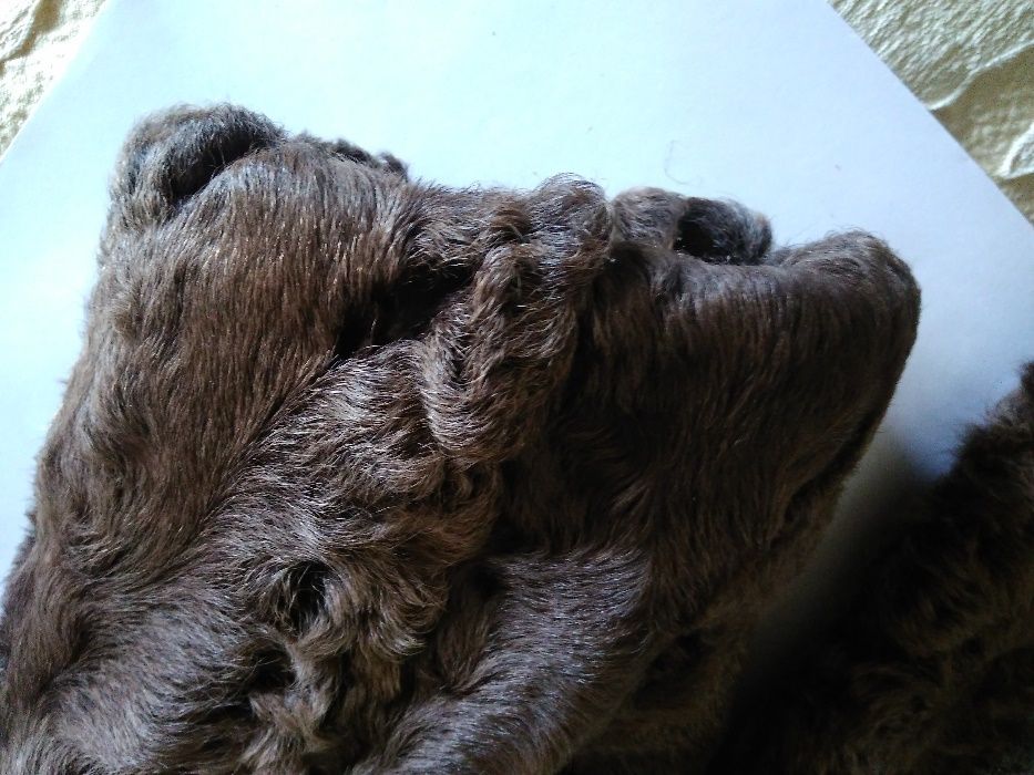 futro z łapek karakułowych greckich-brąz-tęższa,niższa osoba