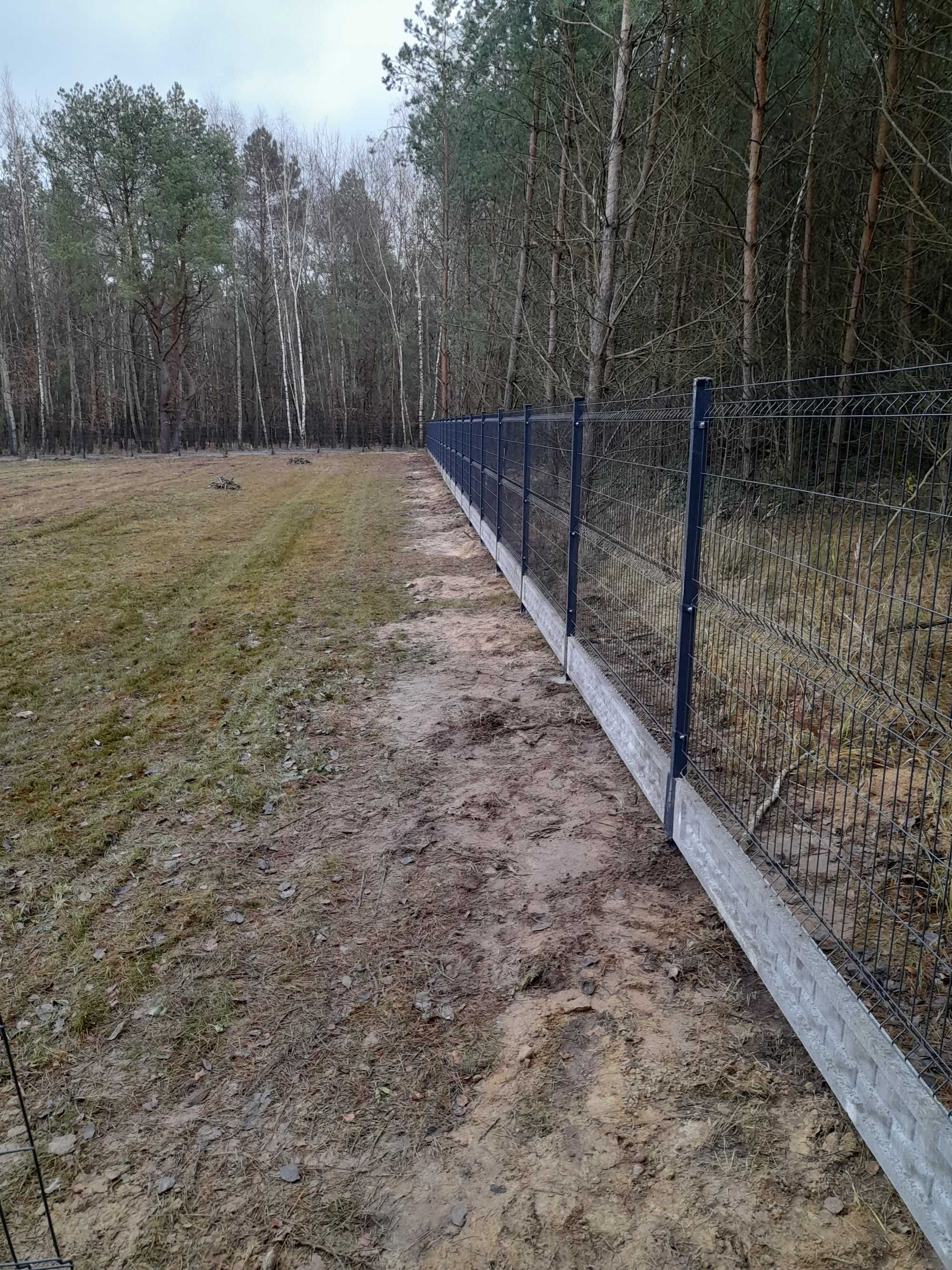 Panele ogrodzeniowe, montaż ogrodzeń panelowych i siatkowych