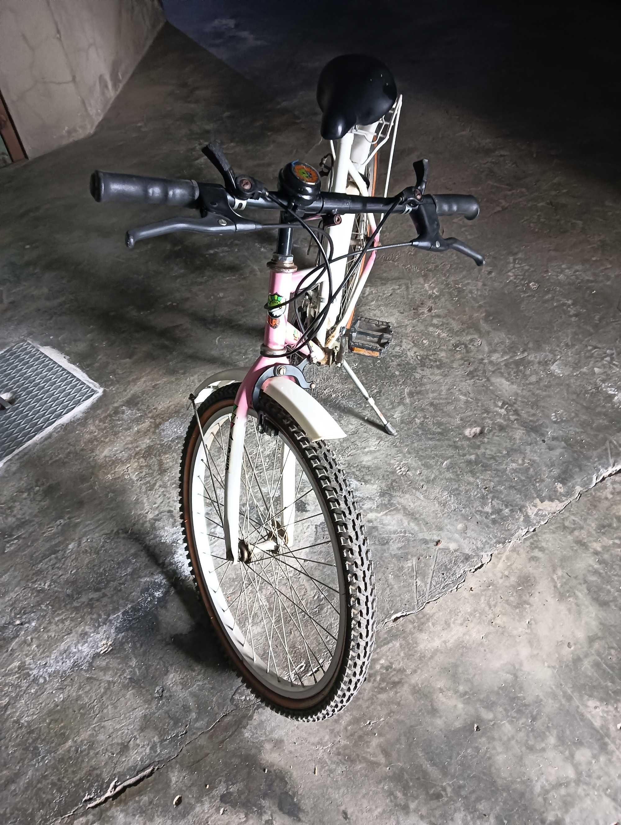 Bicicleta de senhora