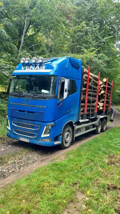 drewno kominkowe, buk opałowy, kłody