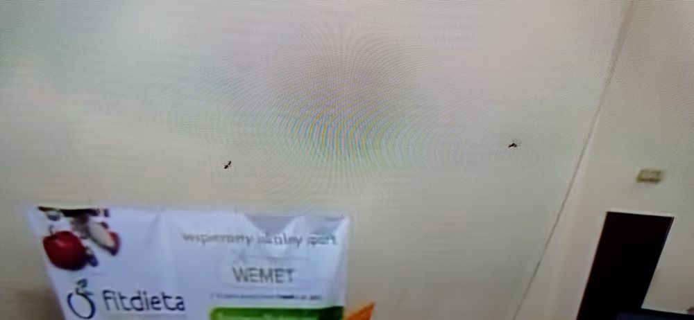 Telewizor Sony 49 cali 2018 rok 49XE7005
