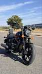 Renegade Vegas 125