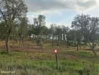 Terreno em Serpa com Viabilidade para Construção