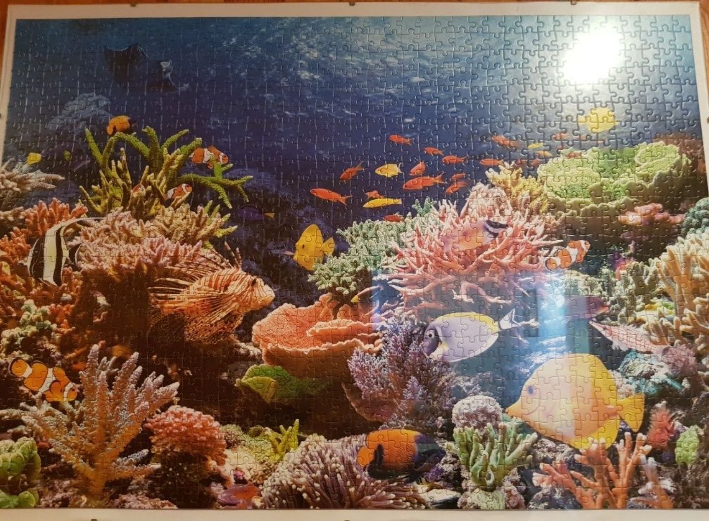 Obrazy z Puzzli 1500szt, 1000szt, 500szt
