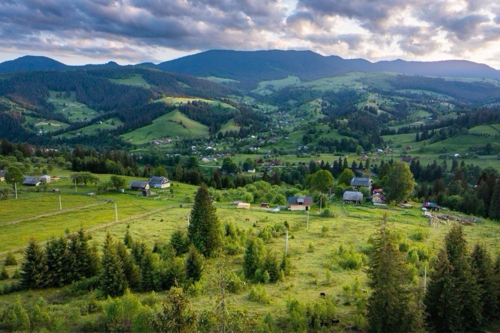 Видова земельна ділянка серед казкового лісу