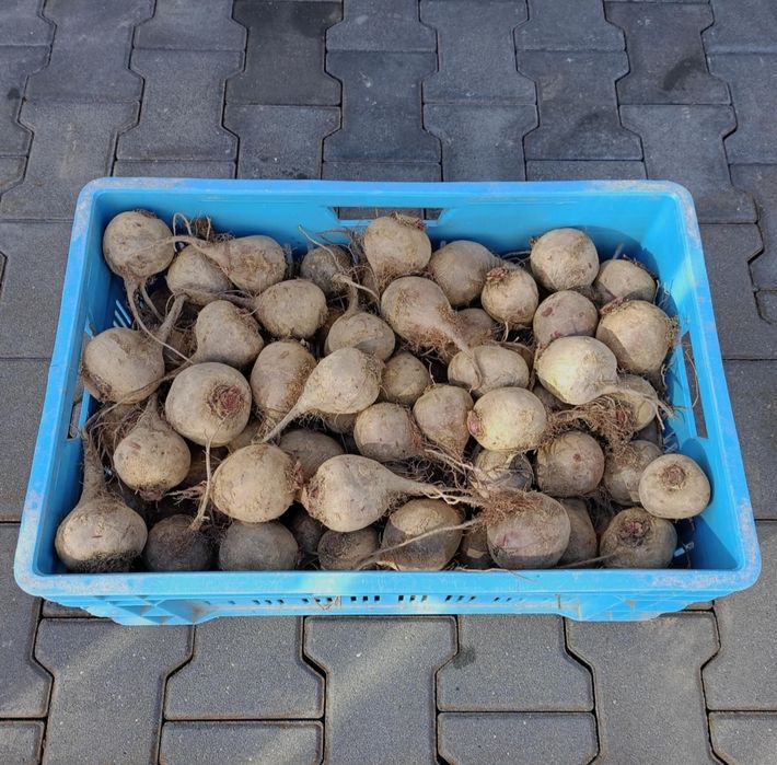 Warzywa i owoce z własnego gospodarstwa