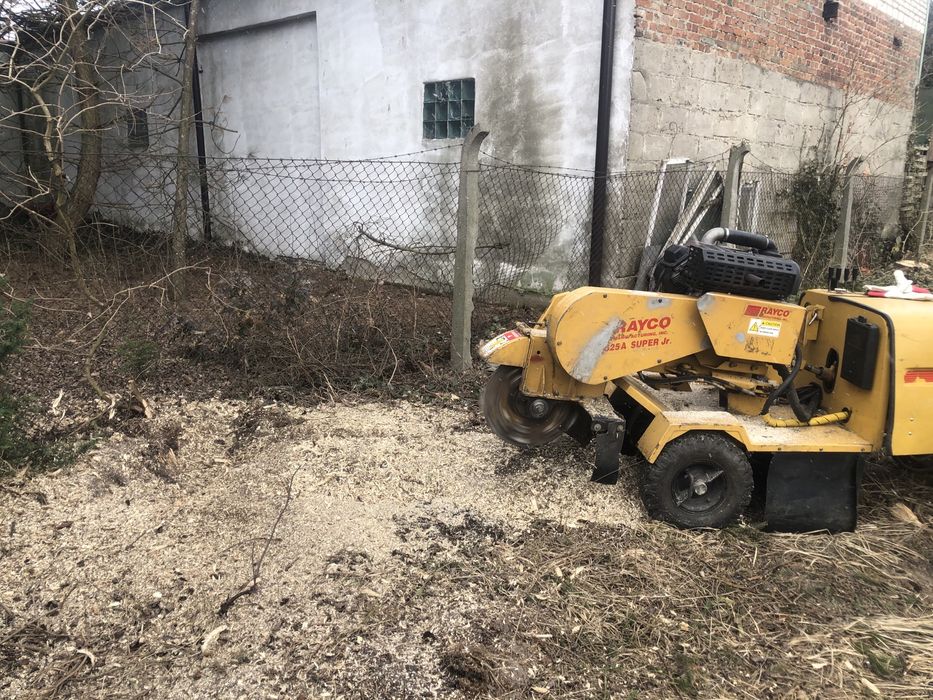 Frezowanie pni karp wycinka mulczer czyszenie  mazowieckie warszawa