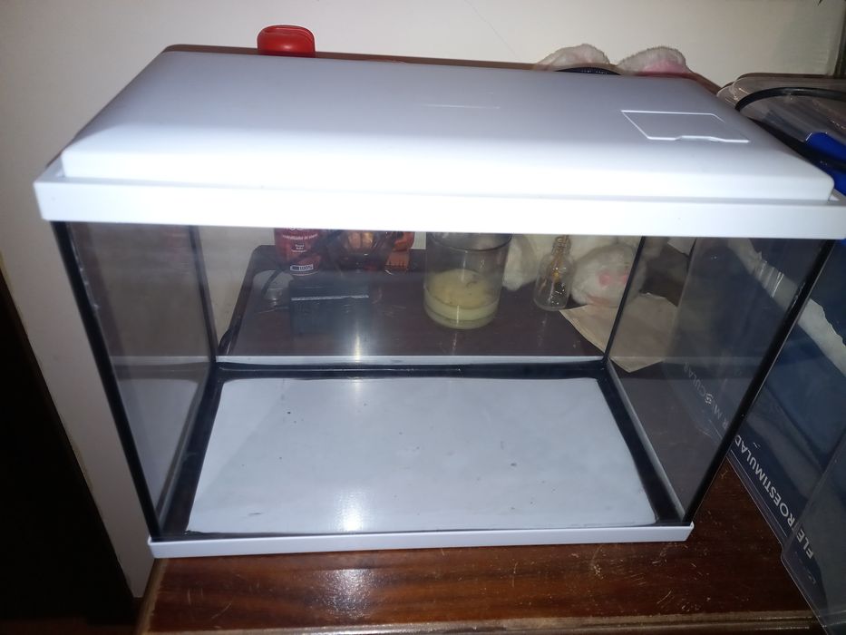 Aquario novo com luz led