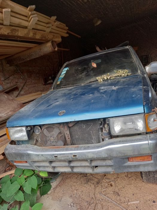 Isuzu rodeo rodeo