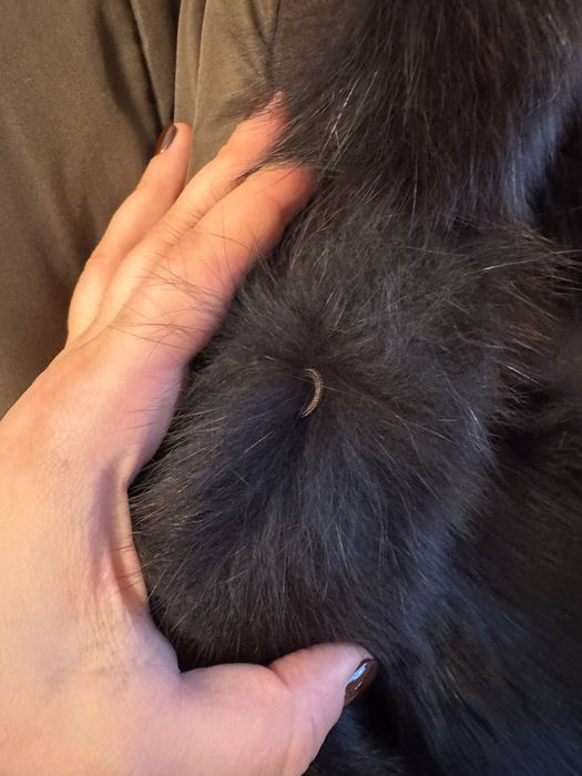 Натуральна хутряна жилетка з Песця - густе хутро - довга модель