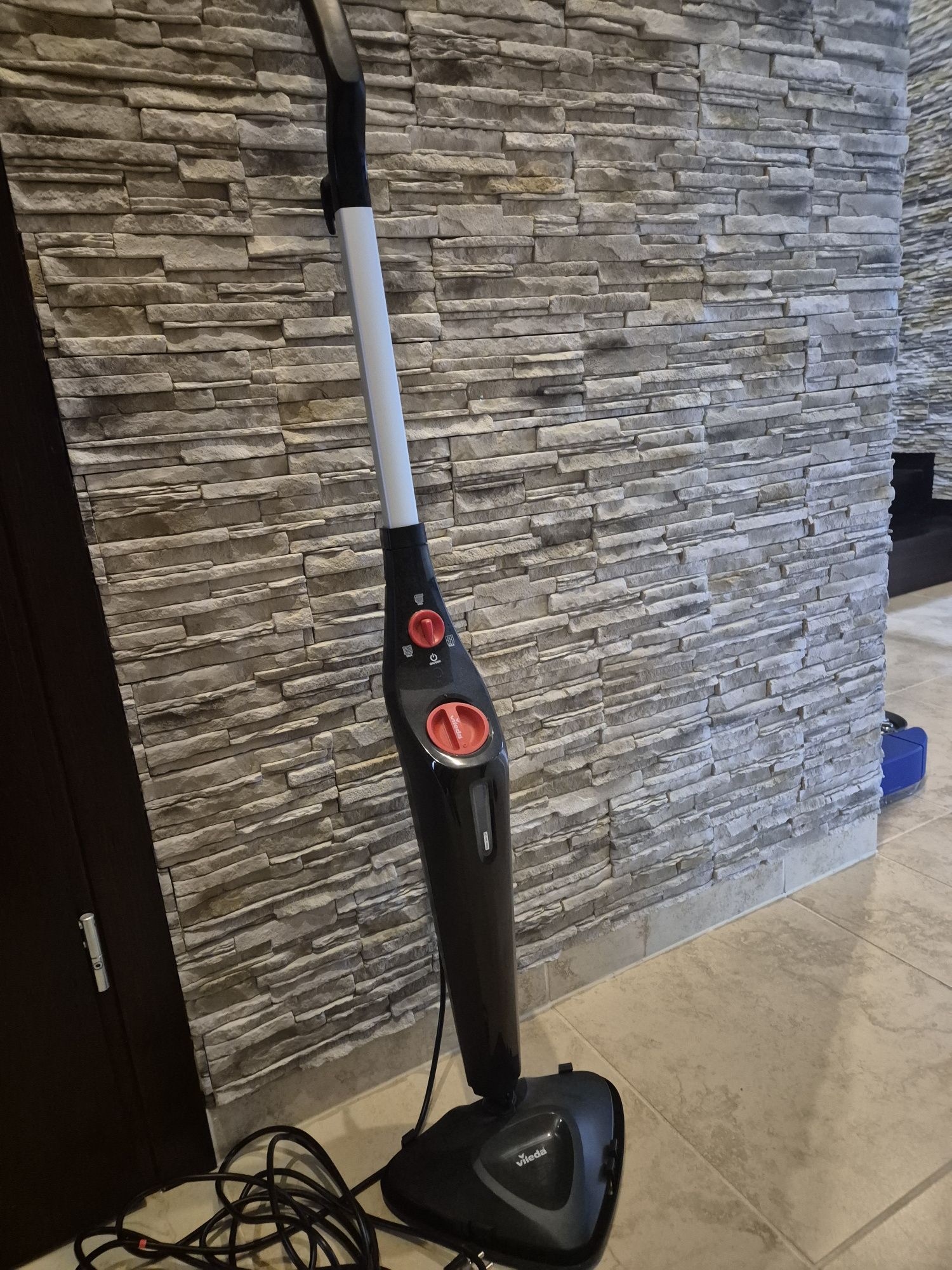 Mop parowy Wileda