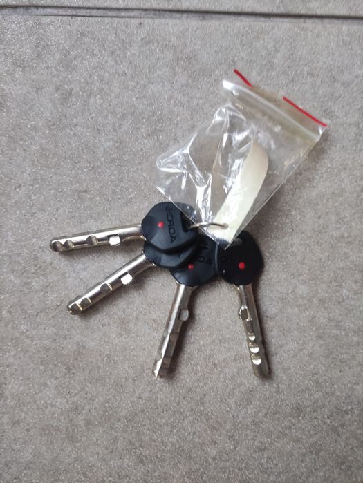 Zamek Gerda Brązowa