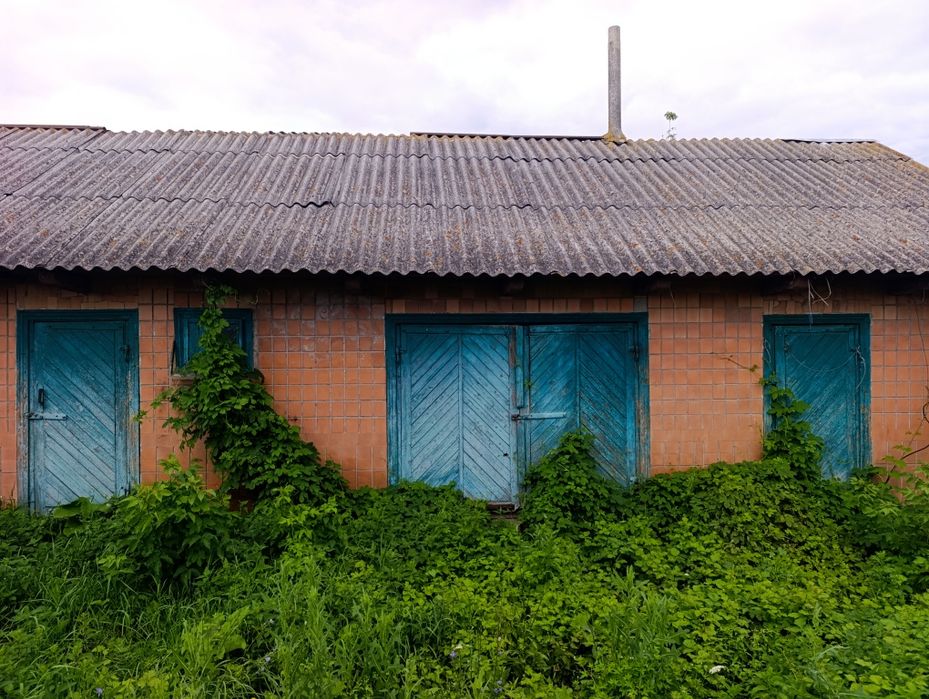 Продам будинок в Гощанському районі, село Чудниця