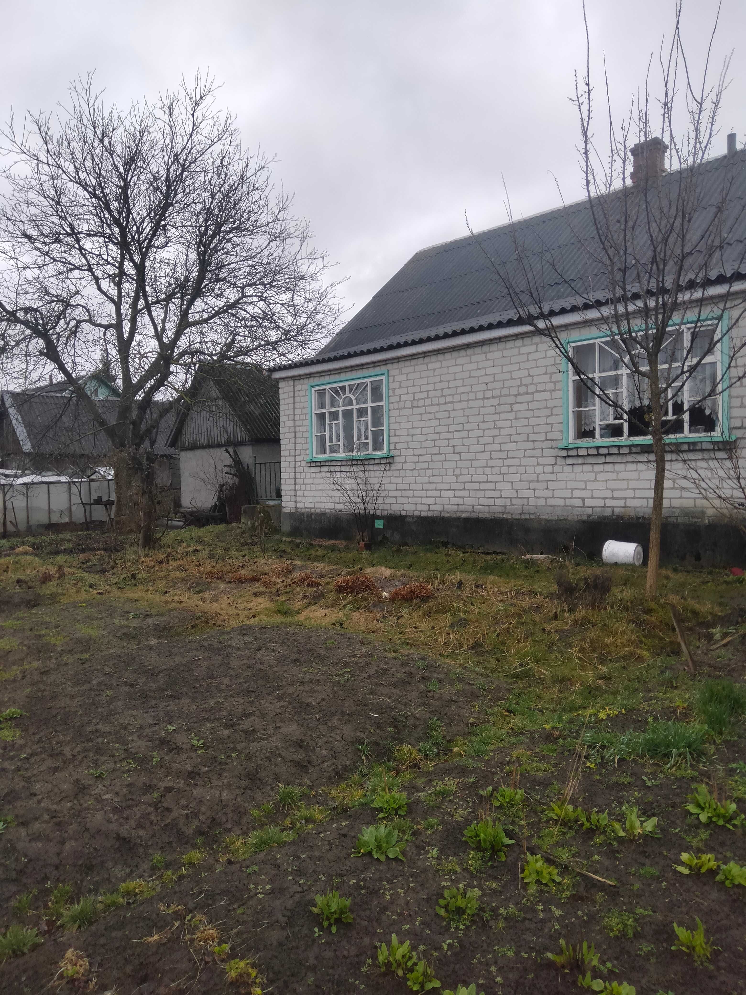 Продається будинок, літня кухня, гараж,  в с. Іванівка Житомирський р.