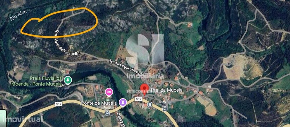 Eucaliptal Perto Do R.alva + 0,5Ha