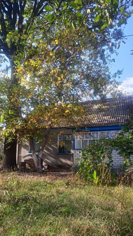 Будинок в пригороді Житомира