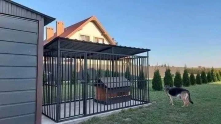 Kojec dla pieska ładny