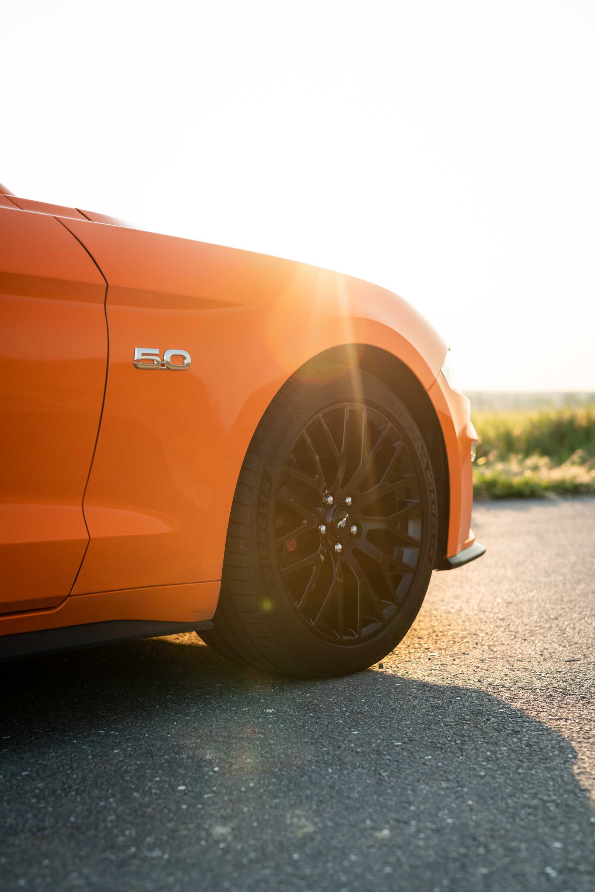 WYNAJEM Ford Mustang GT 5.0 Wypożyczalnia aut sportowych Poznań