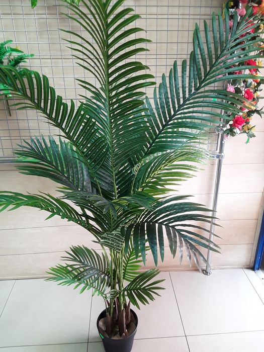 Sztuczna palma w doniczce
Cena 370 zł za sztukę. 

Palma ma