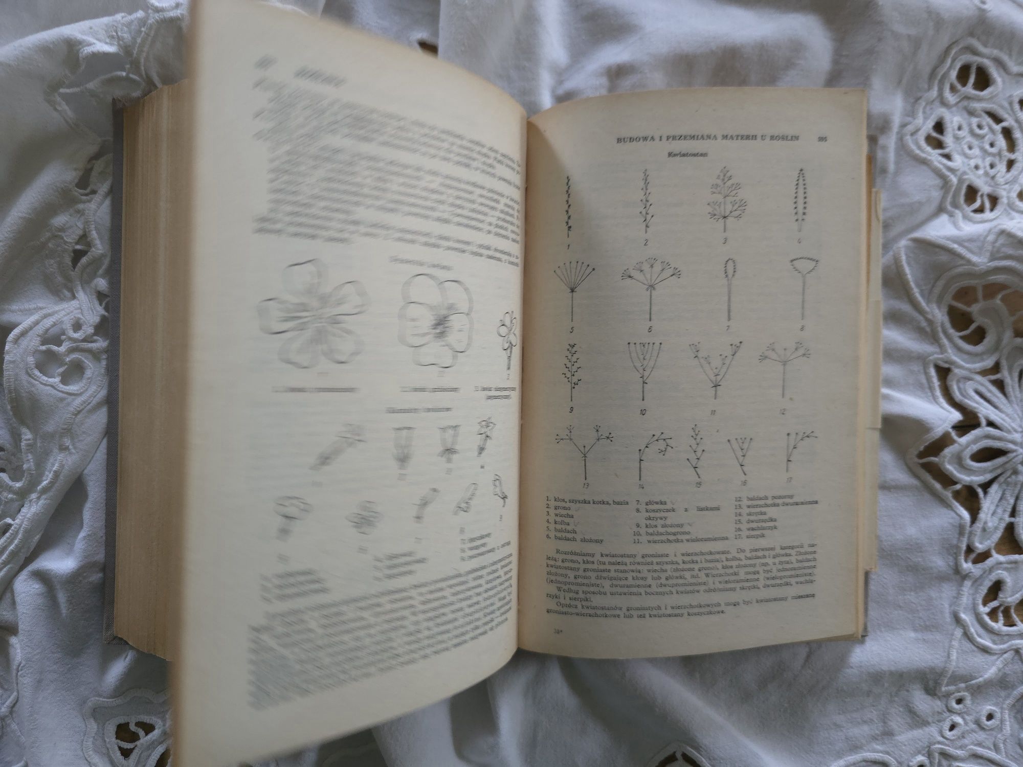 Mała encyklopedia przyrodnicza 1957r.