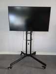 Profesjonalny monitor Samsung QM43R