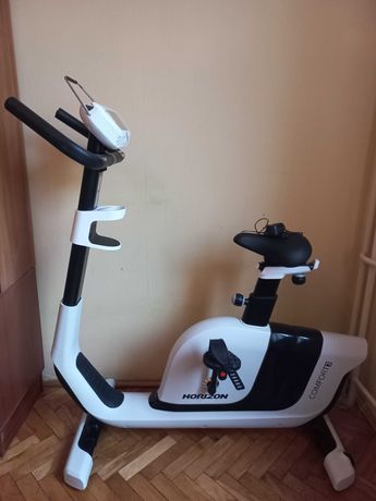 Rower stacjonarny Horizon Fitness Comfort 3