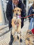 Bebezao meigo obediente