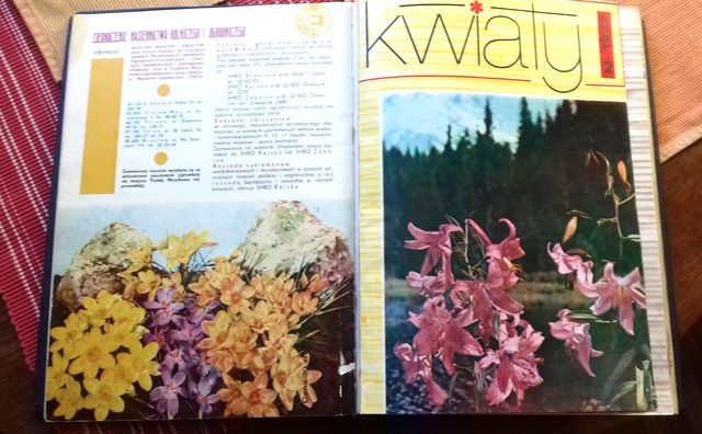 Kwiaty miesięcznik PRL 1977/1978