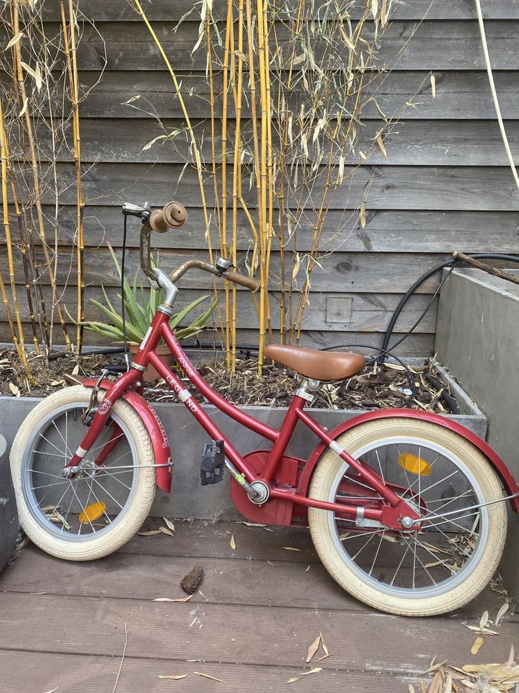 Bicicleta de criança com roda 16