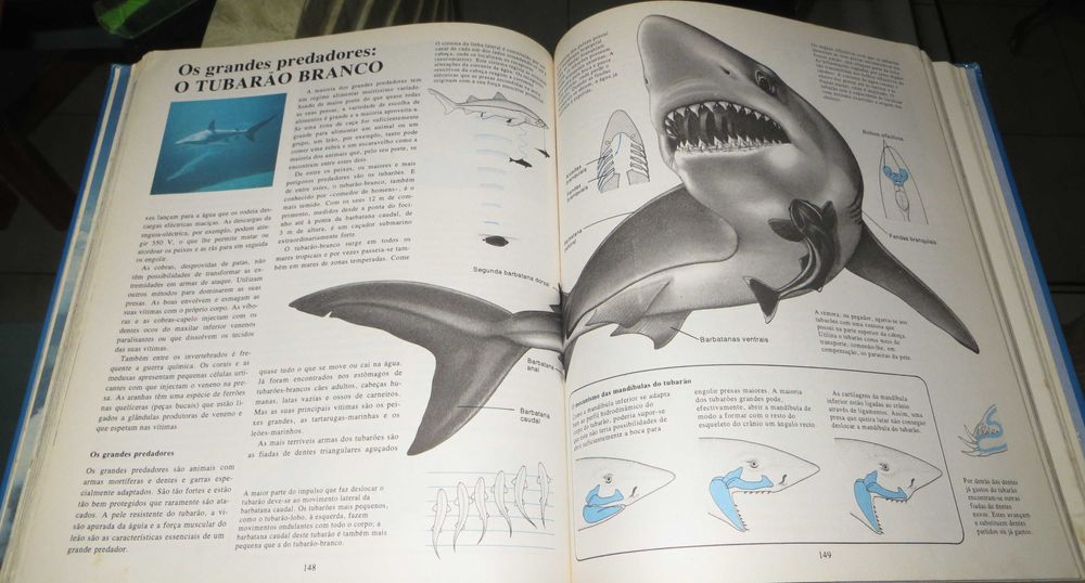 O livro da Juventude II - Ilustrado - 1984 - Número de páginas: 256