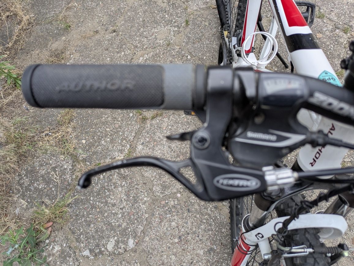 Rower MTB Author 24 r.14
