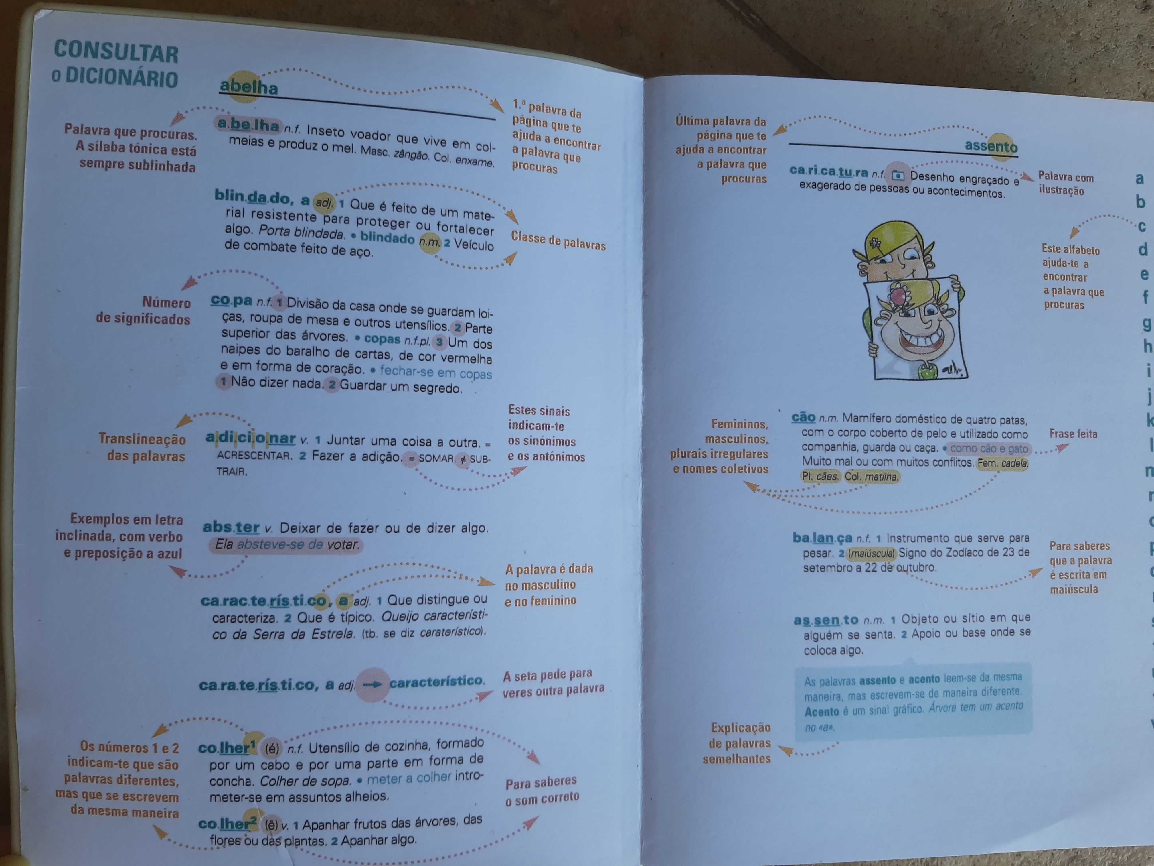 Primeiro Dicionário Escolar - 1º Ciclo
