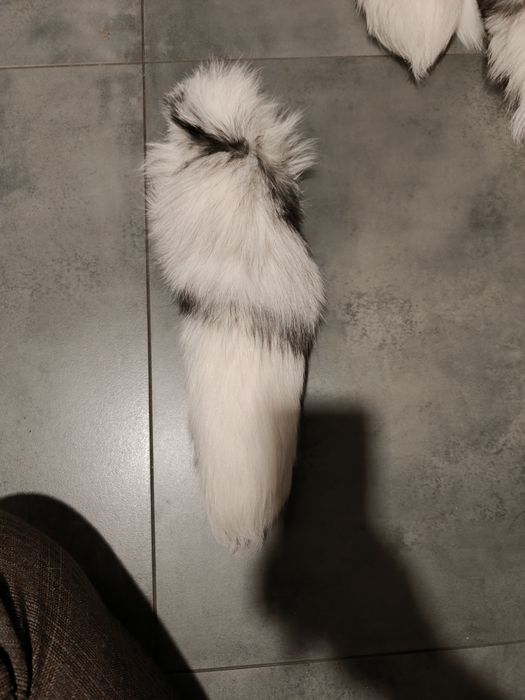 Ogon z lisa idealny na brelok lub zawieszkę!Naturalny kolor