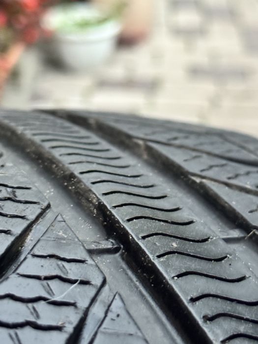 Шини 225/50 R17 Pirelli Cinturato PLUS все сезонні