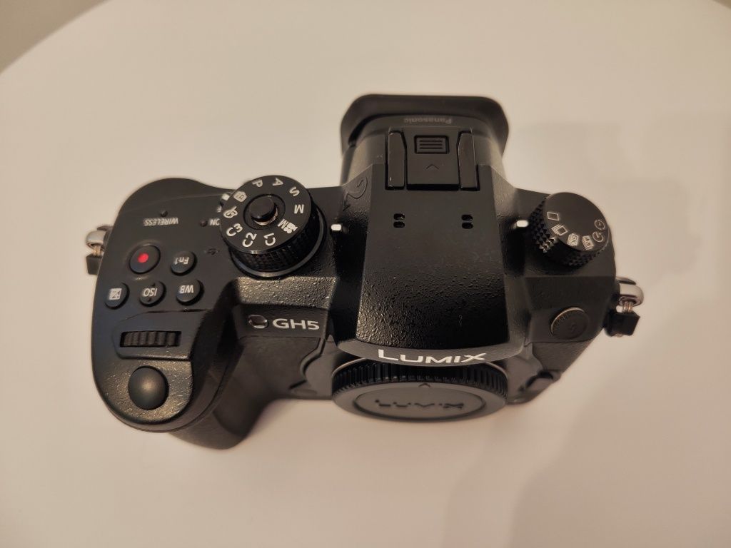 Panasonic Lumix GH 5