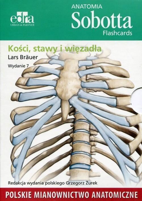 Anatomia Sobotta Flashcards Kości Stawy I Więzadła