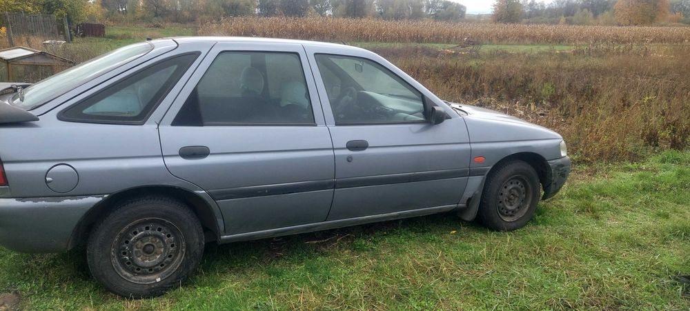 Ford       escort