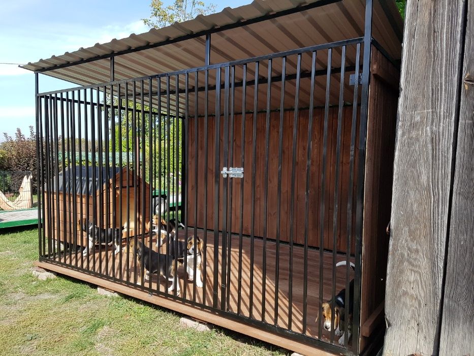 Kojec Klatka Zagroda Buda dla psa 3mx2m Montaż Gratis Solidny